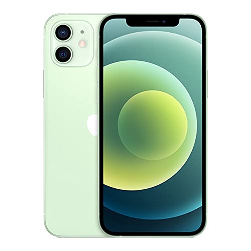 Apple iPhone 12 Mini 5G (256GB,4GB) 5.4" OLED, Fully Unlocked A2176 (Acceptable - Refurbished, Green)